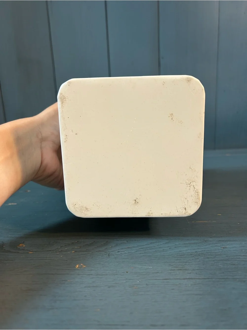 Cream and Brown Dog Treat Canister – 'Treats' Storage Container